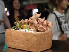 -WHEN PIGS FLY当猪飞