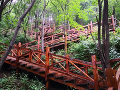 -大岭沟猕猴桃谷风景区
