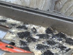 -黑色经典臭豆腐·湖南特产(步行街店)