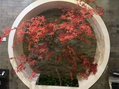 -金狮麟·新豫菜(金码大厦店)