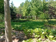 -大兴滨河森林公园