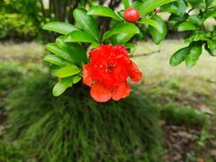 -同济大学(嘉定校区)