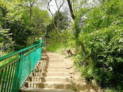 -大蜀山国家森林公园