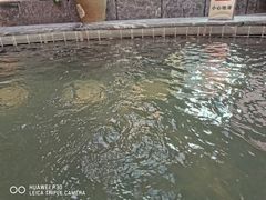 -弘安丽水温泉酒店