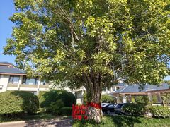 -福建鲤鱼洲酒店