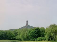 -北坞公园