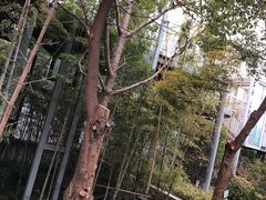 -苏州清山会议中心