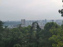 -富乐山