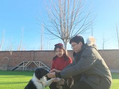 -北京京卫宠物寄养训练中心