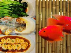 -原鄉本味 楚菜 丹江口鱼(北苑店)