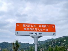 -清境桃源