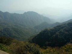 -大岭沟猕猴桃谷风景区