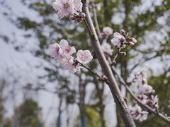 -苏州太湖湖滨国家湿地公园