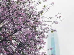 -天河体育中心