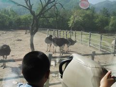 -西安秦岭野生动物园