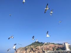 -长岛南北长山旅游景区