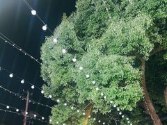 -叶氏香辣蟹·龙虾·烧烤(晨阳路店)