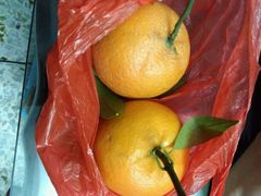 -百年银屏蚝烙·潮汕菜·非遗(乐山店)