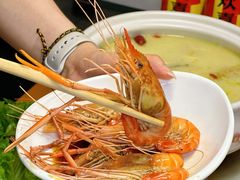 -金龙·打边炉(南京西路店)