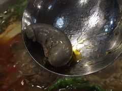 -陈三炖鸡馆(金众小区店)