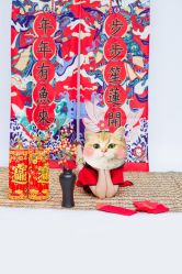 -熊猫叔叔高端儿童摄影(清江商场店)