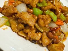 宫爆鸡丁-宝发园名菜馆