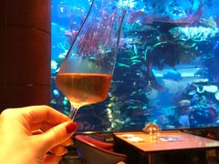 -迪拜帆船酒店海底餐厅