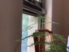 -宣和苑(华侨新村店)