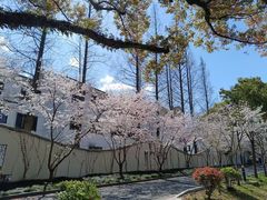 -远洲凤凰山庄臻味全日餐厅