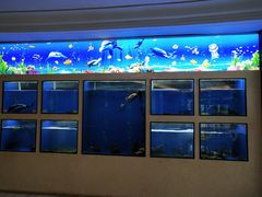 -德州凤冠假日酒店