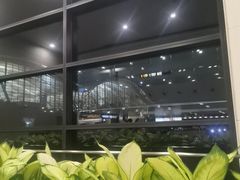 -上海浦东国际机场-T2航站楼