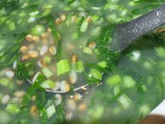 -桑吉林新派藏餐·汤锅·川菜