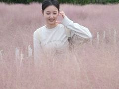 -嘉北郊野公园