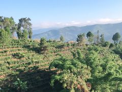 -墨江北回归线标志园