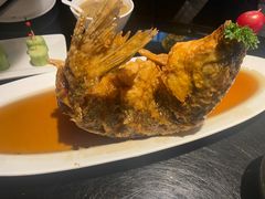 糖醋鲤鱼-城南往事·鲁菜济南菜(龙奥万科店)