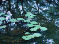 -上海植物园-4号门售票处