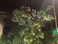 -紫腾大院·南京土菜(江宁店)