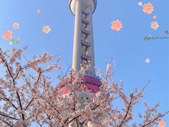 -东方明珠广播电视塔