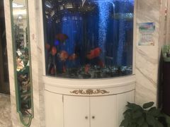 -齐家花园大酒店·本帮菜(宝山店)