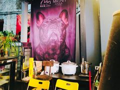 -more than meow吴止猫主题餐厅(承德 中船汇店)