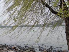 -上海月湖雕塑公园