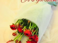 -Jo's Garden