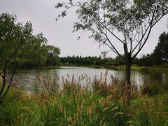 -东郊湿地公园