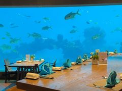 -涛·海底餐厅·美人鱼·自助餐·海底隧道(三亚海棠湾洲际度假酒店)