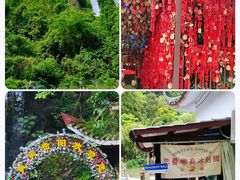-黔灵山公园