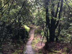 -腾冲云峰山