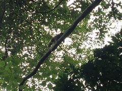 -太鲁阁公园