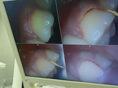 -牙博士口腔品牌连锁(杨浦店)