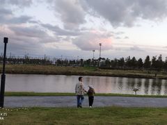 -春花秋色城市公园