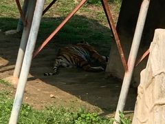 -宿豫区运河湾森林动物园